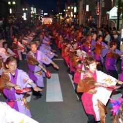 Fujiwara Festival of Spring