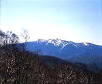 早池峰山のアカエゾマツ自生南限地