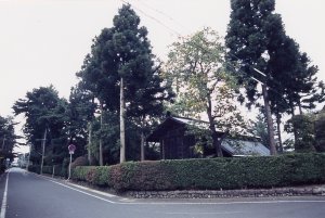 金ヶ崎町城内諏訪小路伝統的建造物群保存地区