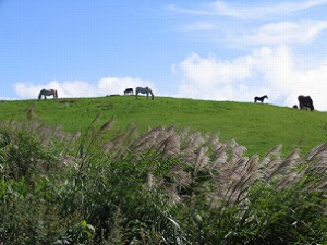 遠野　荒川高原牧場