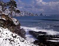田野畑の白亜紀化石産地