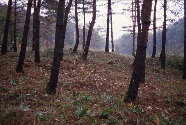 타마 철산 흔적