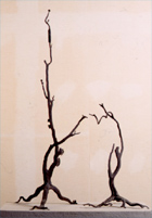 철의 나무 (유키 / 오렌지 나무)