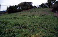Ashinoura shell mound