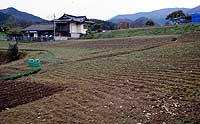 Daedong shell mound