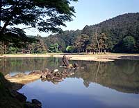 Moshi Temple Garden