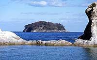 Hijido Island Kurokoshijiro蜜蜂繁殖場所