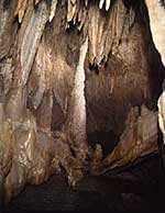 Iwaizumi Caves and Bats