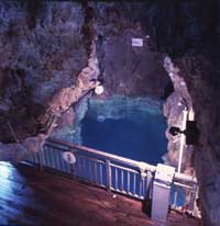 Iwaizumi Caves and Bats