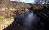 姐妹区,Kotoriya,网状硅化林地