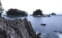 Aomatsu岛