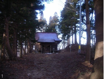 Tashin Shrine的山毛榉Inubuna森林