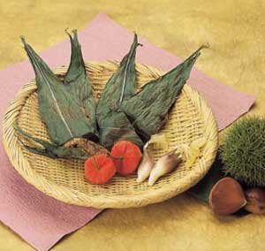 Grilled gyoza with leaves