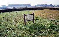 Kawahara Mottled Ruin