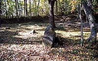 Otake ruined temple ruins