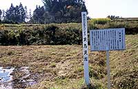 Shellfish shell mound