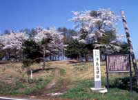 Ukishima burial mound group
