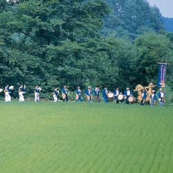 곤충 추격 축제