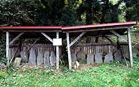 Gokuraku Temple stone pagoda