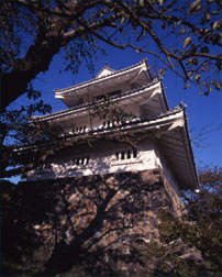 Mitojo castle old house